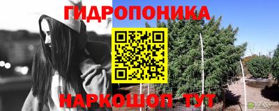 гашик Можга