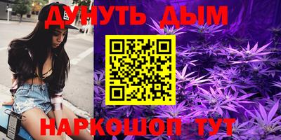 гашик Можга