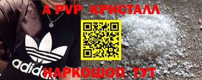 гашик Можга