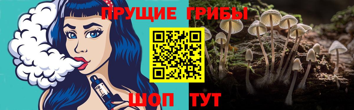 Галлюциногенные грибы мицелий  закладки  Вход с VPN  Дербент  Галлюциногенные грибы Cubensis 